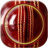 Cricket Live Score icon