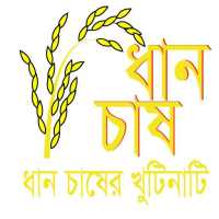 ধান চাষ (Dhan Chas) ধান চাষের আধুনিক পদ্ধতি on 9Apps