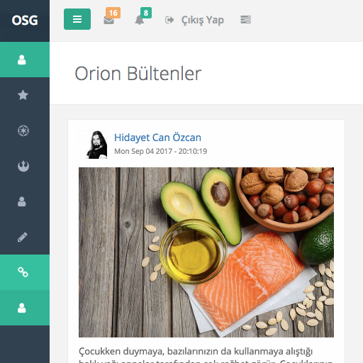 Orion Star Group icon