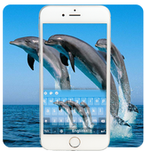 Dolphin Keyboard Theme icon