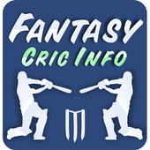 Fantasy CricInfo icon