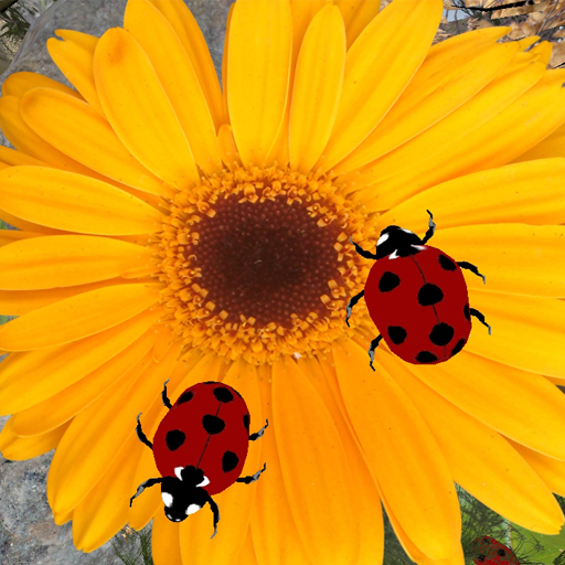 Ladybug simulator - animal game icon