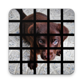 Cute Dog Tile Puzzle - Labrador Retriever Puppy icon