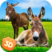 Donkey Simulator - Little Horse Wildlife Simulator icon