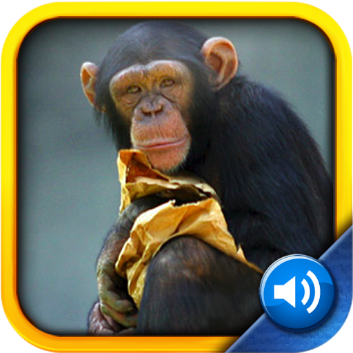 Toddler Tapping Zoo icon