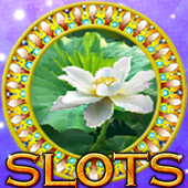 Slots 2017:Free Slot Machines icon