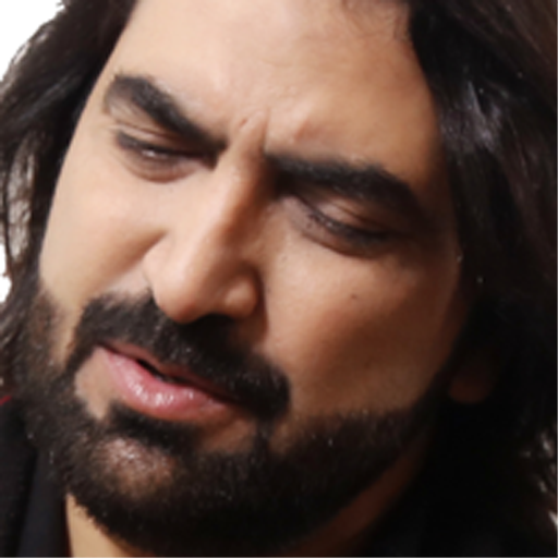 Ameer Hasan Aamir icon