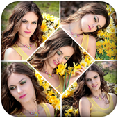 100  Shape Photo Collage icon