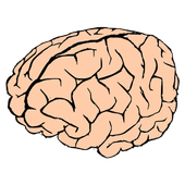 Memory Puzzle, Two Player Game icon