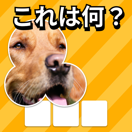 ズームクイズ：クローズアップ画像ゲーム icon