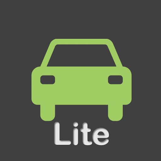 Accerace Lite icon