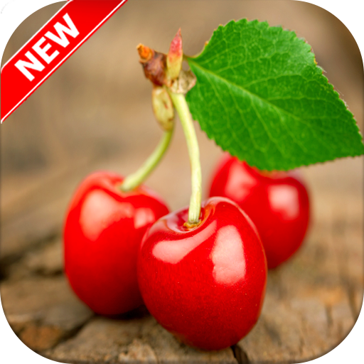 Cherry Wallpapers 🍒 icon