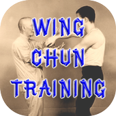 Wing Chun Technique Videos icon