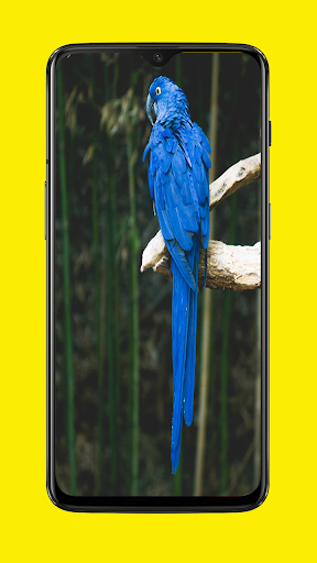 Launcher for Redmi Note 7 and Note 9 Pro screenshot 3