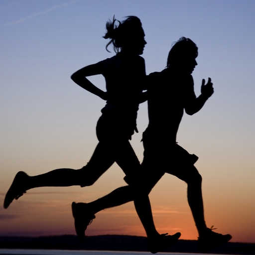 ikon Yo-Yo Intermittent Test