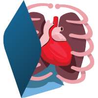 Nervoso e digestório-3D-Grátis on 9Apps