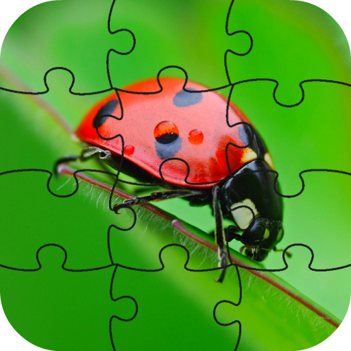 Biedronka Puzzle   LWP icon