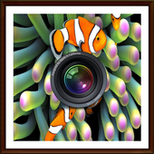 Aquarium Photo background icon