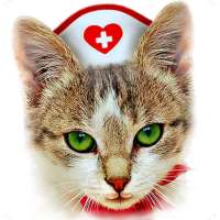 Cat therapy - jigsaw puzzles with cats purring