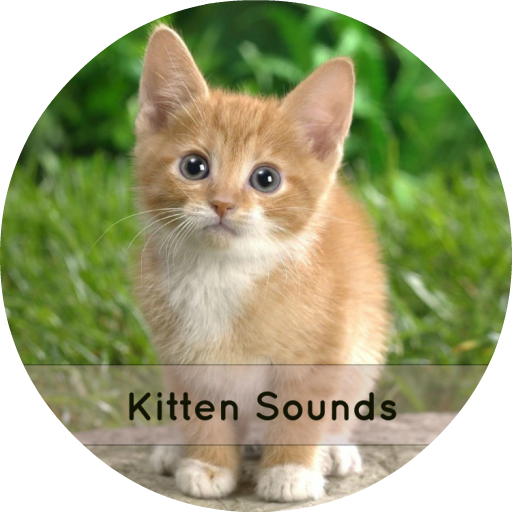 Kitten Sounds icon
