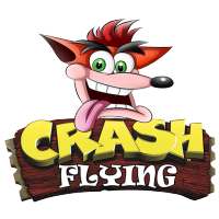 CRASH FLYING