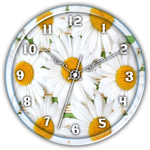 Daisy Flower Clock Live WP icon