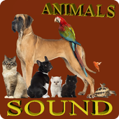 Animals Sound icon