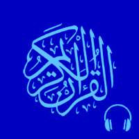 Naser Al qatami full Quran offline free app on 9Apps