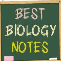 Biology Handwriting Notes In H