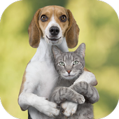 Funny &amp; Interesting: Animal Sounds icon