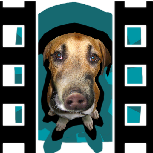 Photo Montage and Video Maker icon