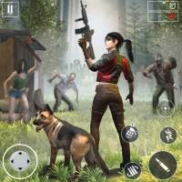 Real zombie hunter - Shooting