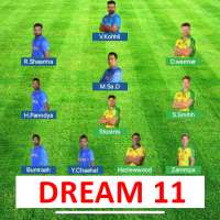 ProTeam11 - Fantasy Cricket Team Predictions Guide