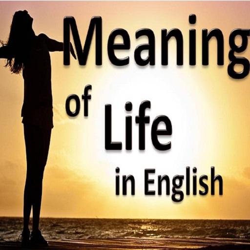 Meaning of Life icon