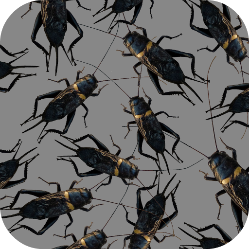Cricket Sounds icon