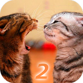 Stellen Sie Cat 2 Übersetzer icon