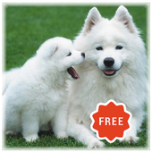 Animal Sounds For Kids icon