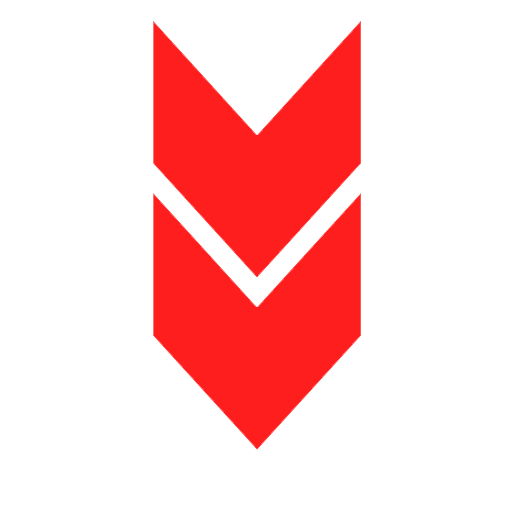 VIP - All In One Status Saver icon