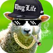 Thug Life on 9Apps