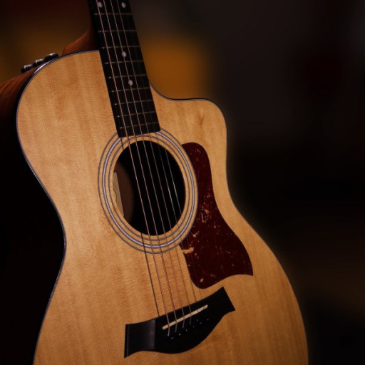 Learn Guitar with Music Theory icon