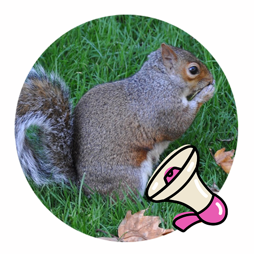 เสียงกระรอกต่อ icon