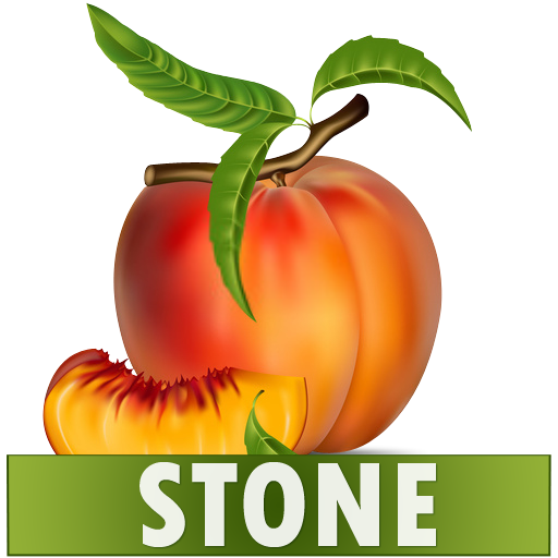 Stone Diet Renal Gall Bladder  icon