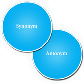 Synonym And Antonym icon