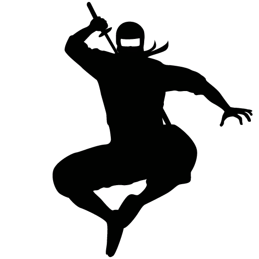 Memory Ninja icon