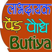 Ayurvedic Paudhe or Jadi Buti (पौधे जड़ी बूटियां) on 9Apps