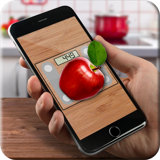 Kitchen scale (simulator) icon