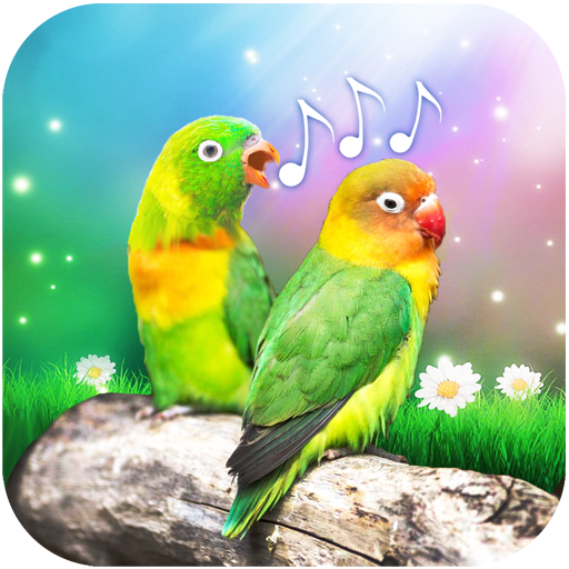 Bird Sounds and Ringtones icon