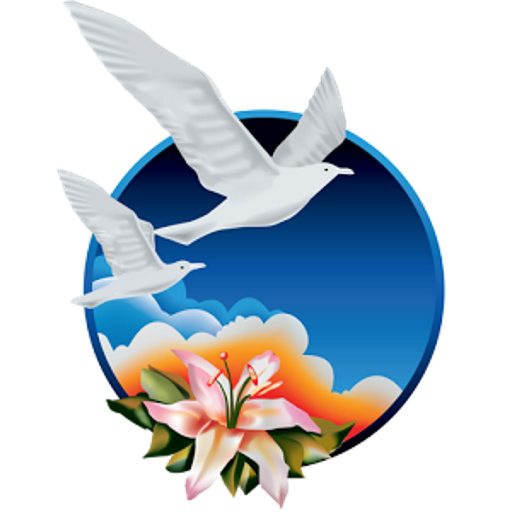 New Image International icon