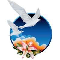 New Image International