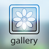 Gallery icon